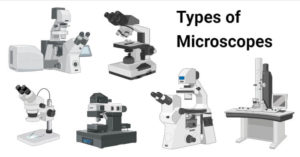 类型的显微镜