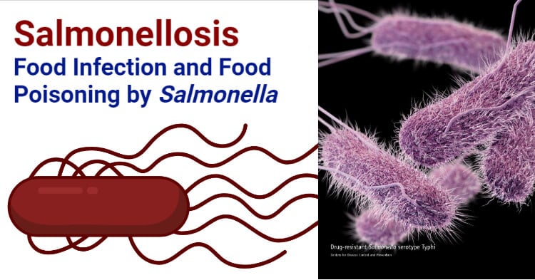 沙门氏菌病-沙门氏菌引起的食物感染及食物中毒