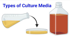 文化媒介的类型