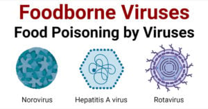 食源性病毒es- Food Poisoning by Viruses