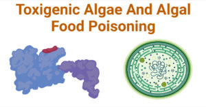 有毒藻类和藻类食物中毒