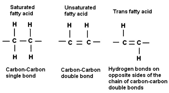 类型的脂肪酸