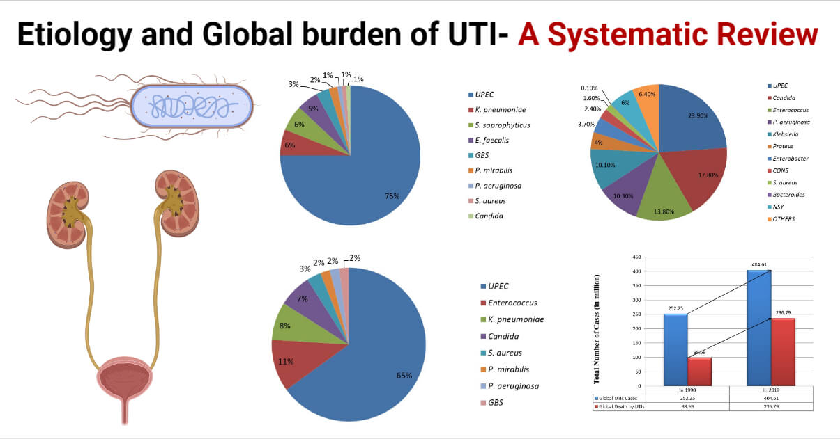 UTI的病因和全球负担-系统综述