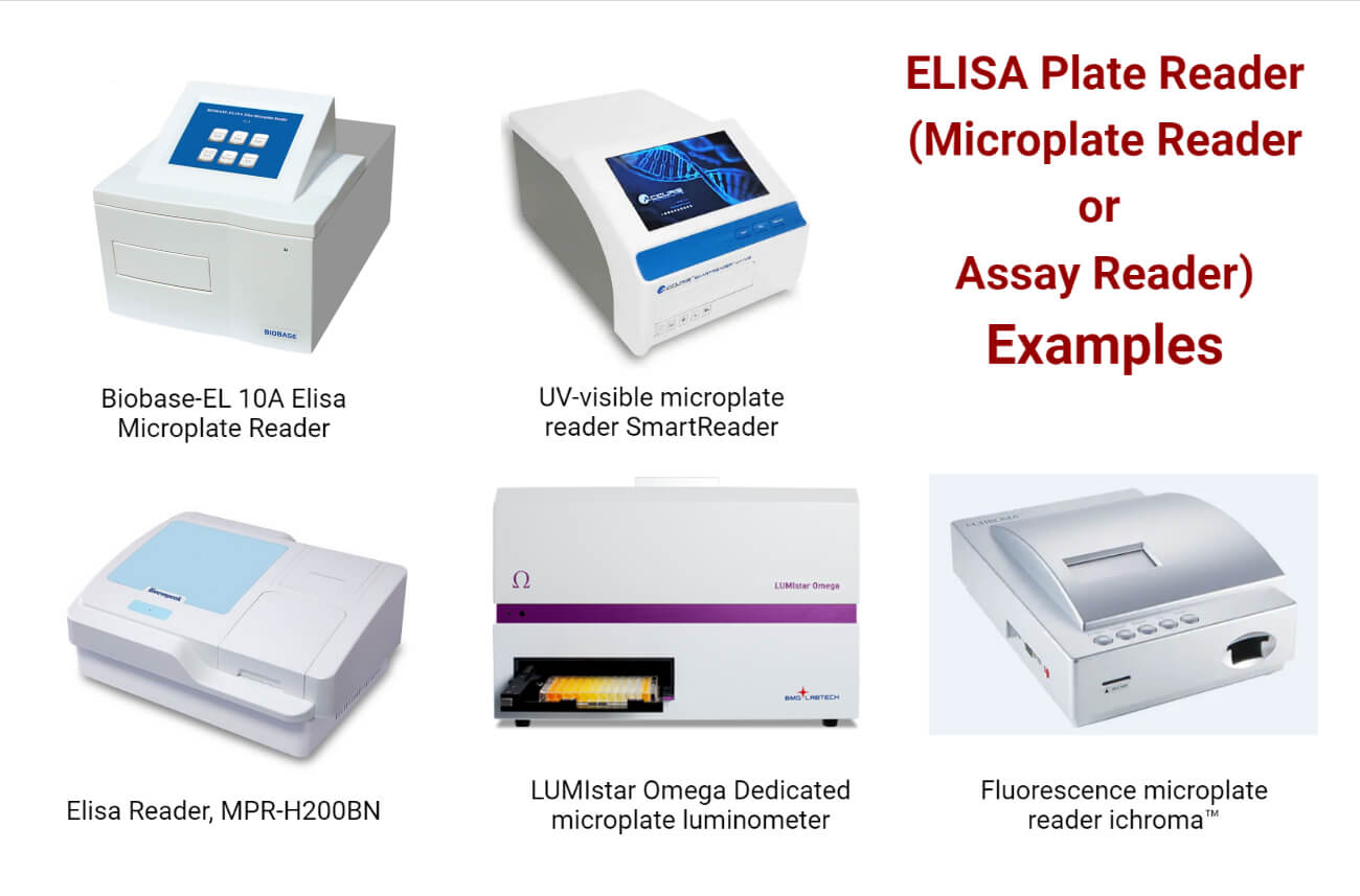 ELISA平板阅读器或Microplate阅读器或Assay阅读器实例