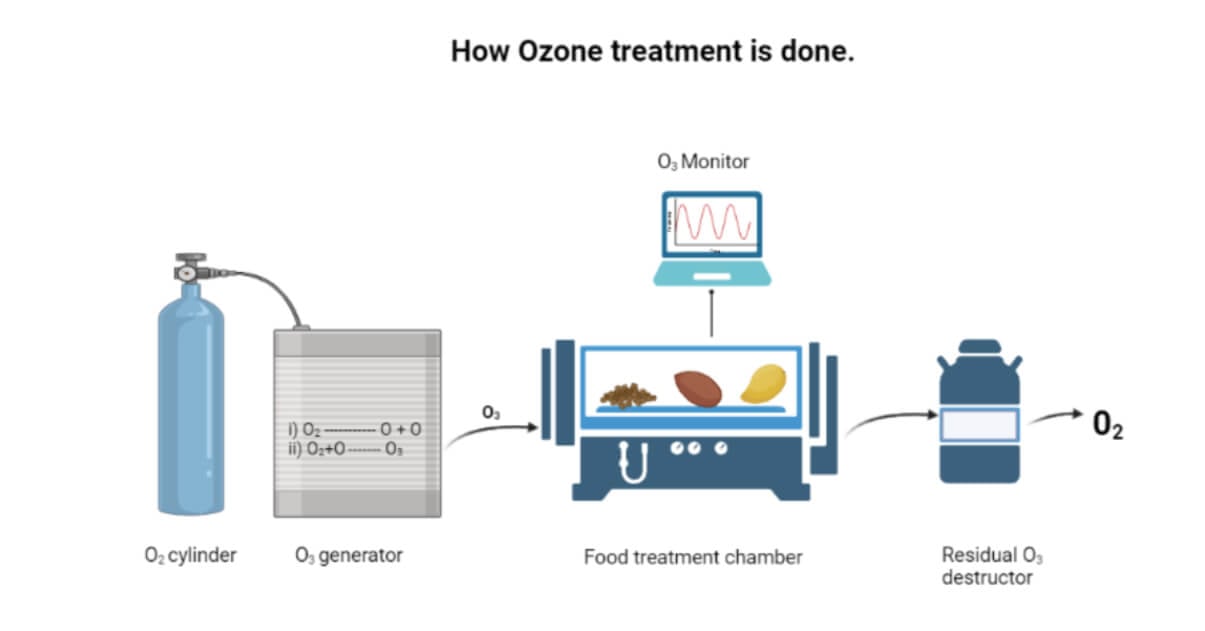 臭氧处理-食品保存技术